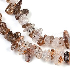 Natural Black Gold Rutilated Quartz Beads Strands&nbsp;G-G905-20
