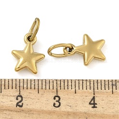 Ion Plating(IP) 304 Stainless Steel Charms&nbsp;STAS-B075-06G