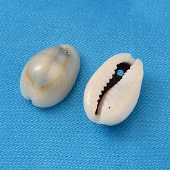 ナチュラルコウリーシェルペンダント  貝殻の形のチャーム  貝殻色  10~17x10~11x7~9mm  穴：2mm  約500~550個/500g&nbsp;BSHE-S047
