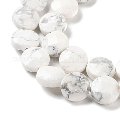 Natural Howlite Beads Strands&nbsp;G-K357-B06-01