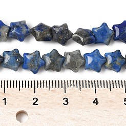 天然ラピスラズリのスタービーズ連売り  7.5x8x4.5mm  穴：0.8mm  約54~56個/連  15.12''~15.20''（38.4~38.6センチメートル）&nbsp;G-Z080-A05