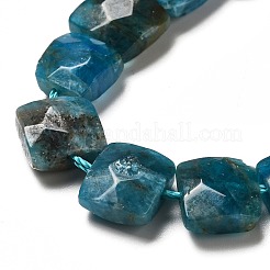 Natural Apatite Beads Strands&nbsp;G-G980-04