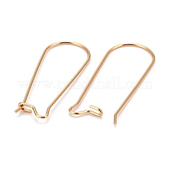 316 Surgical Stainless Steel Hoop Earring Findings&nbsp;STAS-A056-12G-A