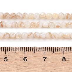 Natural Freshwater Shell Beads Strands&nbsp;SHEL-T011-02-3mm