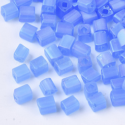 6/0 Transparent Glass Seed Beads&nbsp;SEED-S027-03B-04
