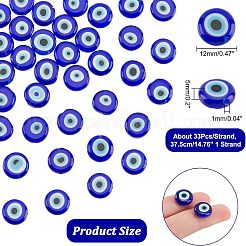 Handmade Evil Eye Lampwork Beads Strands&nbsp;LAMP-NB0001-60B-02