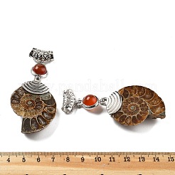 天然カーネリアン化石カタツムリペンダント  合金パーツ  白金金属色  58~78x29~35x8~9mm  穴：4x6mm&nbsp;G-F062-15