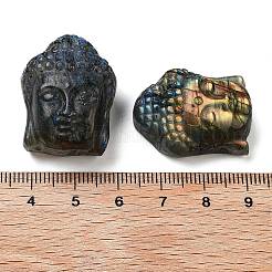 天然ラブラドライトの彫刻カボション  仏頭  28x19.5~22.5x9.5~13.5mm&nbsp;G-C152-12