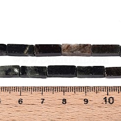 Natural Biotite Beads Strands&nbsp;G-T141-103