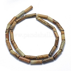Natural Picture Jasper Beads Strands&nbsp;G-F631-D04-02