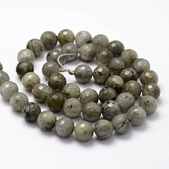 Faceted Natural Labradorite Beads Strands&nbsp;G-F364-17-8mm
