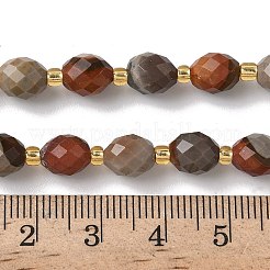 Natural Alashan Agate Beads Strands&nbsp;G-F809-A24-01