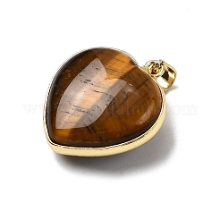 Natural Tiger Eye Pendants&nbsp;G-B149-10G-10