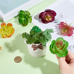 PVC人工多肉植物  家の装飾  小道具の装飾のふりをする  ミックスカラー  60~130x40~130mm  24個/セット&nbsp;AJEW-SP0004-35B