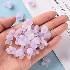 Transparent Acrylic Beads&nbsp;TACR-S152-12C-SS2114