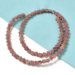 Natural Rhodonite Beads Strands&nbsp;G-G085-B34-02