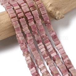 Natural Rhodonite Beads Strands&nbsp;G-A280-C05-01
