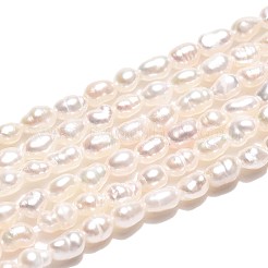 天然養殖淡水パールビーズ連売り  ライス  乳白色  2~4x2~2.5mm  穴：0.3~0.4mm  約52~57個/連  6.89~7.09''（17.5~18センチメートル）&nbsp;PEAR-T006-08