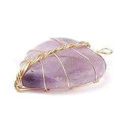 天然石アメジストペンダント  ライトゴールドトーンの銅線で包まれています  ハート  38~41x30~31x9mm  穴：3~4mm&nbsp;PALLOY-JF01653-05