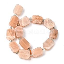 Natural Sunstone Beads Strands&nbsp;G-C098-A12-01