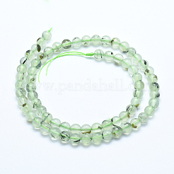 Natural Prehnite Beads Strands&nbsp;G-E483-07B-8mm