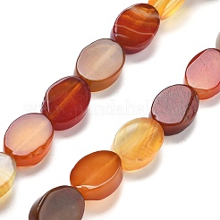 Natural Dyed & Heated Red Agate Beads Strands&nbsp;G-P559-B01-01