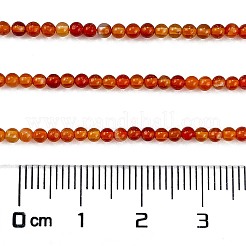 天然石赤瑪瑙ビーズ連売り  グレードA  ラウンド  2~2.5mm  穴：0.5mm  約173個/連  15.98''（40.6センチメートル）&nbsp;G-M438-A10-02