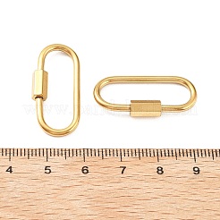 304 Stainless Steel Locking Carabiner&nbsp;STAS-C092-05C-G