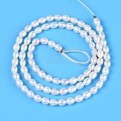 Natural Cultured Freshwater Pearl Beads Strands&nbsp;PEAR-T006-29