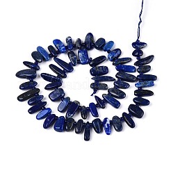 Natural Lapis Lazuli Beads Strands&nbsp;G-Z091-A23