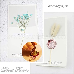 DIY Scrapbook&nbsp;AJEW-WH0100-022
