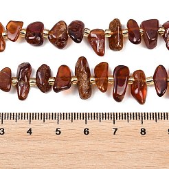 Natural Orange Garnet Beads Strands&nbsp;G-P619-A03-01