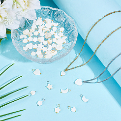 60Pcs 10 Styles Natural Freshwater Shell Pendants&nbsp;PALLOY-HY00106