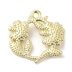 Alloy Pendants&nbsp;PALLOY-D019-10G