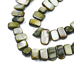 Natural Trochid Shell/Trochus Shell Beads Strands&nbsp;SHEL-S258-082-B01