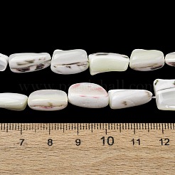Natural Trochid Shell/Trochus Shell Beads Strands&nbsp;SH-CBA2978-20B