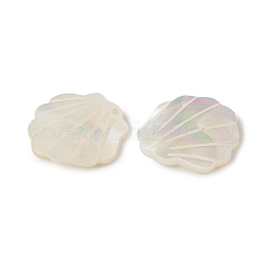 Natural Sea Shell Pendants&nbsp;SSHEL-T012-11