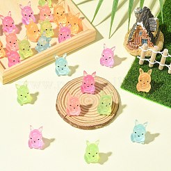 60個 6色 光るカンガルー ミニチュアオーナメント  マイクロランドスケープホームドールハウスアクセサリー  小道具の装飾のふりをする  暗闇で光る  ミックスカラー  15x18x24mm  10個/カラー&nbsp;DJEW-CJZ0001-003