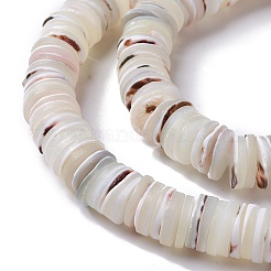 Natural Trochid Shell/Trochus Shell Beads Strands&nbsp;SHEL-P015-11