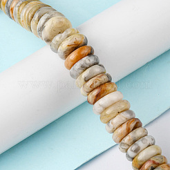 Natural Crazy Lace Agate Beads Strands&nbsp;G-F743-06J