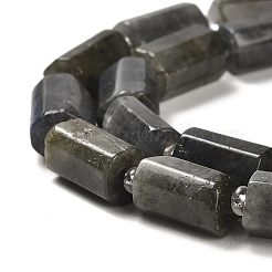 Natural Larvikite Beads Strands&nbsp;G-N327-06-32