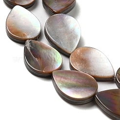 天然石シーシェルビーズ連売り  ティアドロップ  14x10x2~2.5mm  穴：0.8mm  約28個/連  15.59''（39.6センチメートル）&nbsp;SHEL-K006-39
