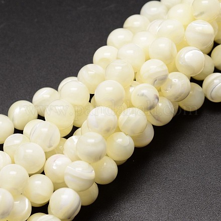 Shell Beads Strands SSHEL-E571-39-6mm-1