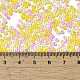 Baking Paint Glass Seed Beads&nbsp;SEED-P006-03A-14-4