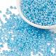 13G 8/0 Glass Seed Beads&nbsp;SEED-XCP0001-05-1