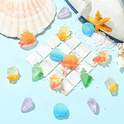 30個 6スタイル 蓄光樹脂製巻貝ディスプレイ装飾  暗闇で光る  水族館の風景、水槽の装飾用  暗闇で光る  ミックスカラー  21.5~30.5x10.5~20x13~21mm  5個/スタイル&nbsp;DJEW-CJ0001-37