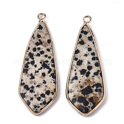Natural Dalmatian Jasper Pendants&nbsp;G-S359-108C