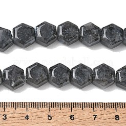天然ラルビカイトビーズ連売り  六角  10~10.5x11~11.5x6.5~7mm  穴：1mm  約37~38個/連  15.04~15.16''（38.2~38.5センチメートル）&nbsp;G-G463-A05-10x11mm