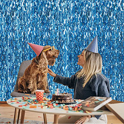 Plastic Foil Fringe Curtains&nbsp;DIY-WH20011-33D