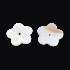 天然淡水シェルビーズ  花  貝殻色  16x2mm  穴：1.4~1.6mm&nbsp;SHEL-N038-12